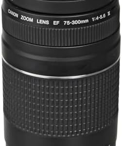 Canon EF 75-300mm f/4-5.6 III Telephoto Lens (Renewed) - $250.30